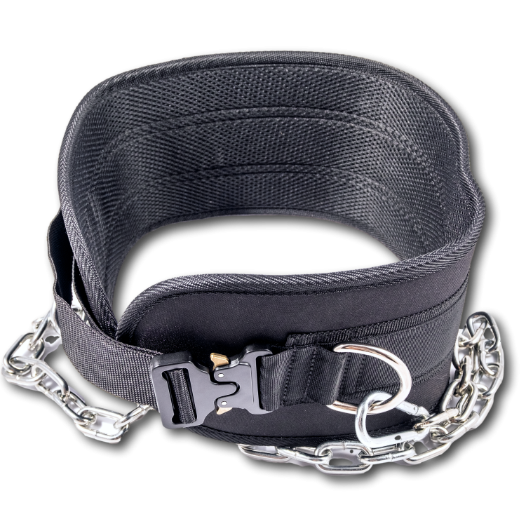 Pas obciążeniowy Dip Belt z klamrą regulowany